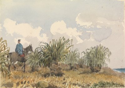 Tussac Grass, Falklandy od Admiral Sir Edward Gennys Fanshawe