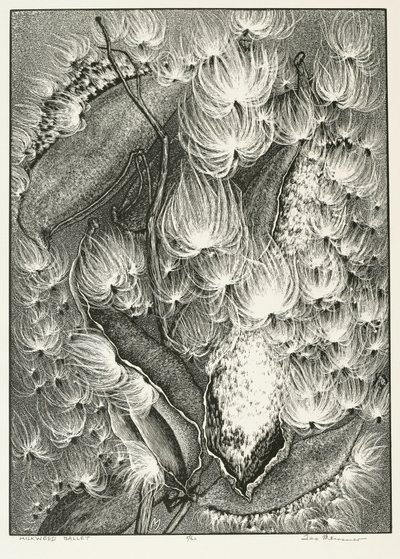 Milkweed Ballet od Adolf Ernst Meissner