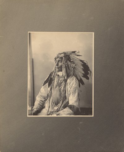 Zabití strakatého koně, Assiniboines od Adolph F. Muhr