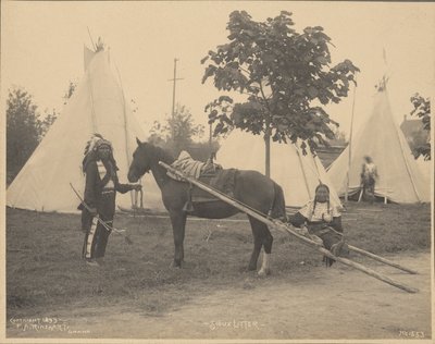 Sioux Litter od Adolph F. Muhr