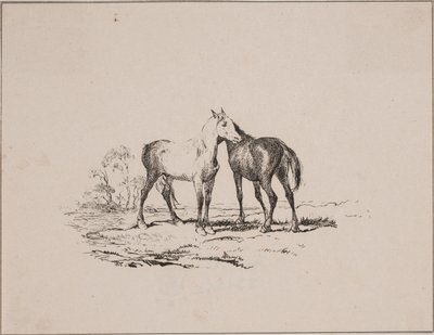 Dva koně od Johan Adolph Kittendorff