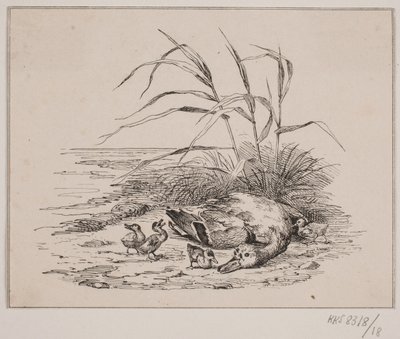 Zabitá kachna od Johan Adolph Kittendorff