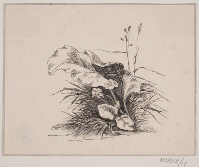 Housle od Johan Adolph Kittendorff