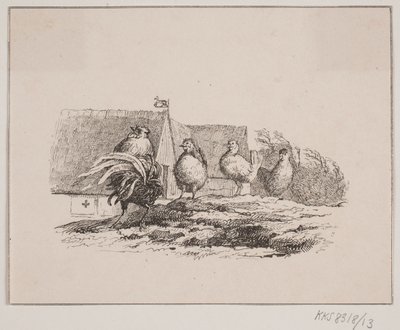 Kohout od Johan Adolph Kittendorff