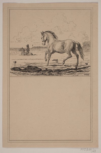 Kůň ve vodě. Ne. 22 v Chr. Winther a M. Rørbye, "25 obrázků pro malé děti" od Johan Adolph Kittendorff