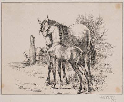 Kůň a hříbě od Johan Adolph Kittendorff