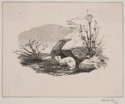 Vytékající kočka od Johan Adolph Kittendorff