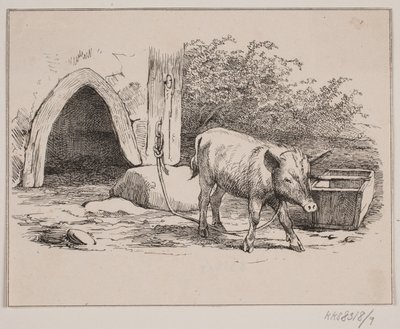 Řetězové prase od Johan Adolph Kittendorff