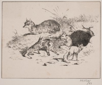 Liška od Johan Adolph Kittendorff