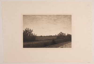 Letní večer v Rødovre od Adolph Larsen