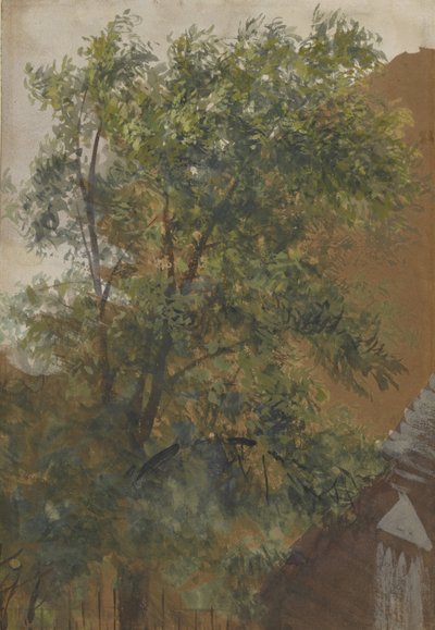 Pohled z okna na nádvoří jeho ateliéru na Marienstrasse 22 od Adolph Menzel
