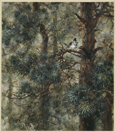  od Adolph Menzel