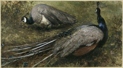  od Adolph Menzel