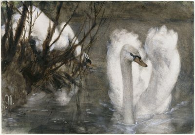 Dvě labutě. Z „Dětského alba“ od Adolph Menzel