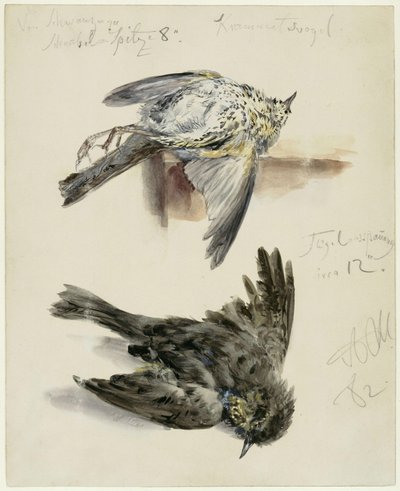  od Adolph Menzel