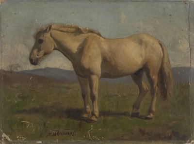  od Adolph Tidemand