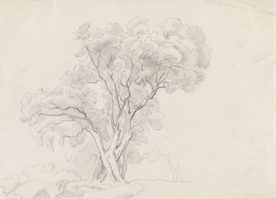 Listnaté stromy od Adolph Tidemand