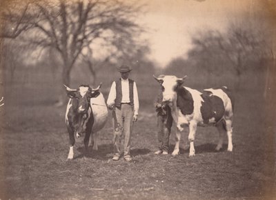 Krajina,c. 1864 (foto) od Adolphe Braun