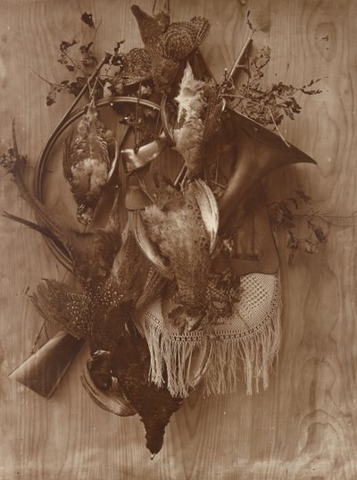 Bažant a Tetřev, ca. 1865. od Adolphe Braun