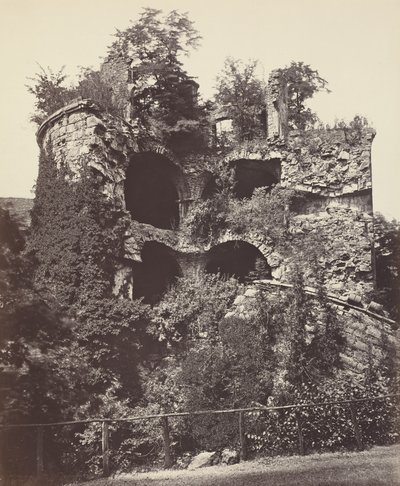 Vybuchlá věž, hrad Heidelberg,c. 1865 (foto) od Adolphe Braun