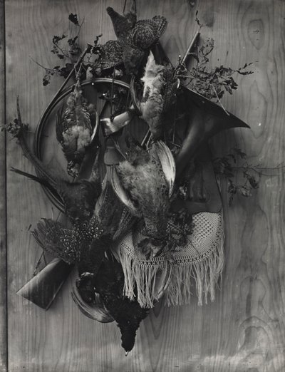 Trophy of the Hunt, c. 1867. od Adolphe Braun