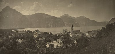 Pohled na Flüelen ve Švýcarsku od Adolphe Braun