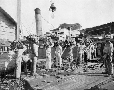 Nakládání banánů, Port Antonio, Jamajka, c1905. od Adolphe Duperly and Son