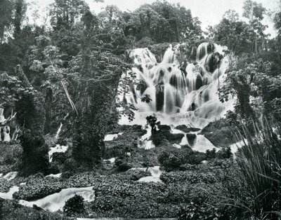Roaring River Falls, Jamajka, c1905. od Adolphe Duperly and Son