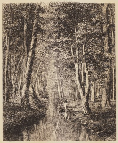 Řeka pod lesem od Adolphe Martial Potemont