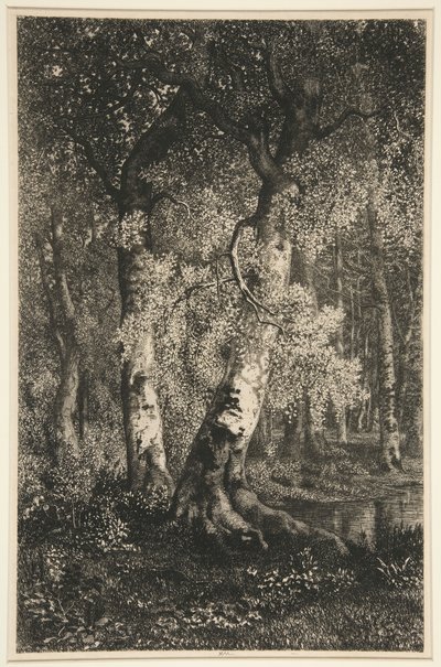 Buky od Adolphe Martial Potemont