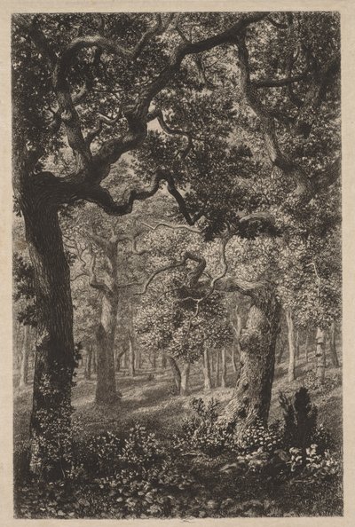 V lesích od Adolphe Théodore Jules Martial Potémont