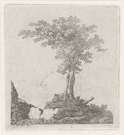 Dva stromy od Adriaan Jacob Willem van Dielen