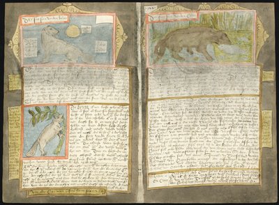 Visboeck Adriaena Coenena od Adriaen Coenen