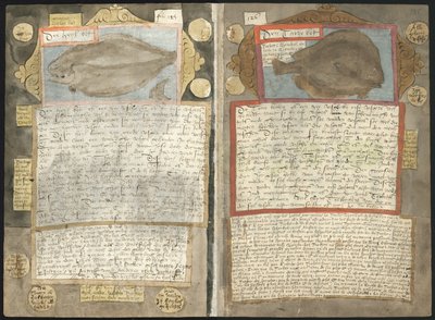 Visboeck Adriaena Coenena od Adriaen Coenen