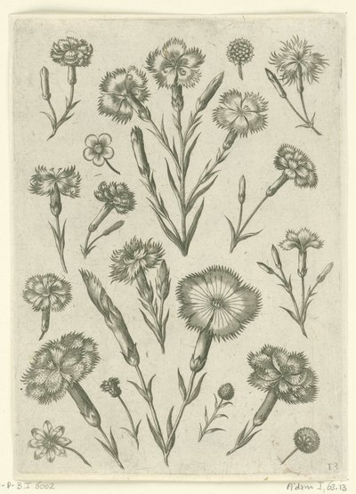Různé hněvy Florilegium (název série) od Adriaen Collaert