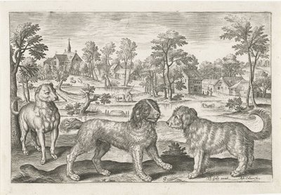 psi Čtyřnohá zvířata (název série) Animalivm Qvaddrvpedvm (název série) od Adriaen Collaert