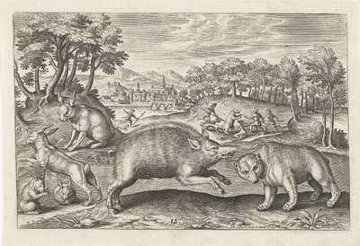 lov zvěře Čtyřnohá zvířata (název série) Animalivm Qvaddrvpedvm (název série) od Adriaen Collaert