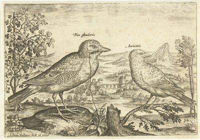 Dva ptáci v krajině Ptáci (název seriálu) Avium Vivae (název série) od Adriaen Collaert