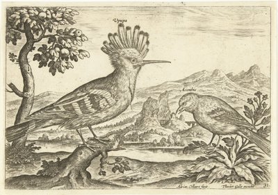 Dva ptáci v krajině Ptáci (název seriálu) Avium Vivae (název série) od Adriaen Collaert