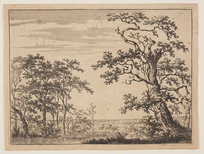 Rybník od Adriaen Hendricksz. Verboom