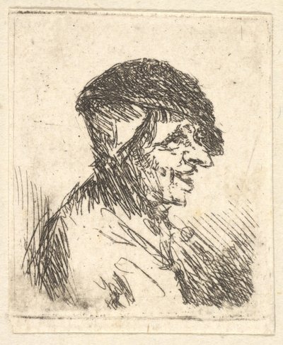 Hlava rolníka, 17. století. od Adriaen Jansz. van Ostade