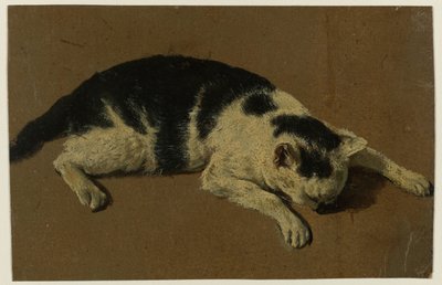 Kočka ležící s hlavou mezi předníma nohama od Adriaen van de Velde (attributed to)