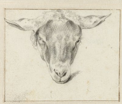 Ovčí hlava, zepředu od Adriaen van de Velde (attributed to)