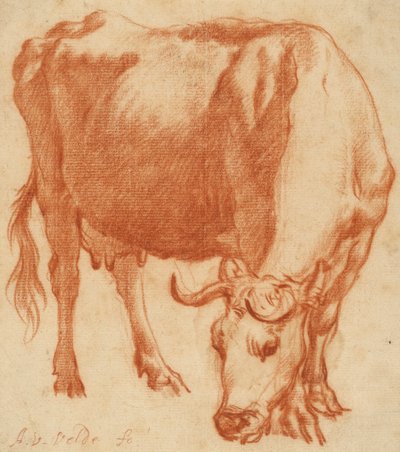 Pasoucí se kráva, cca 1663 (kresba červenou křídou) od Adriaen van de Velde