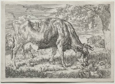 Kráva a dvě ovce u paty stromu, 1670. od Adriaen van de Velde