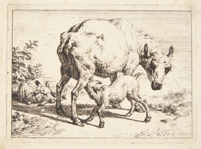 Ovce a dvě jehňata od Adriaen van de Velde