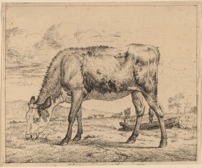 Pasoucí se tele od Adriaen van de Velde
