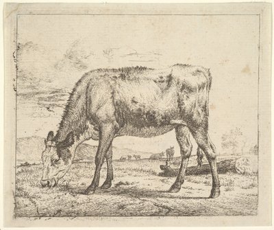 Pasoucí se tele, z různých zvířat, 1658. od Adriaen van de Velde