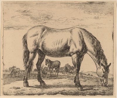 Pasoucí se kůň od Adriaen van de Velde