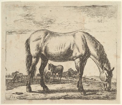 Pasoucí se kůň, z různých zvířat. od Adriaen van de Velde